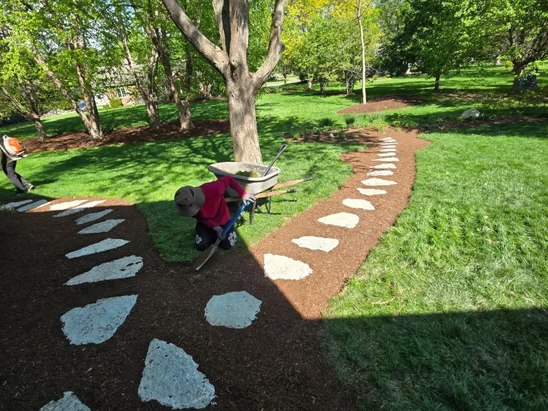 Stepping stone path set through a fresh black mulch bed under a shade tree